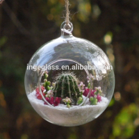 Wholesale Clear Class Ball Ornaments,Hanging Glass Terrarium With Cheap Price